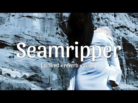 LONOWN DJ ANEMIA Seamripper Slowed Reverb Echo 