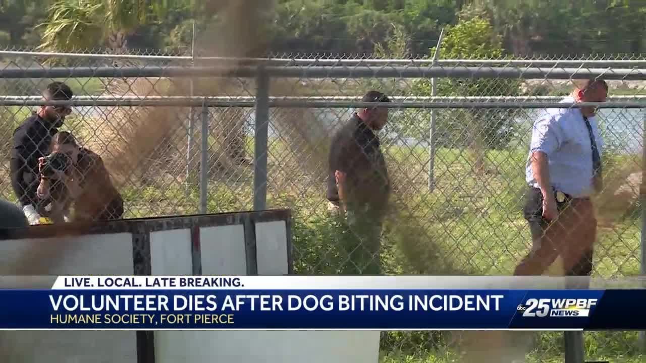 Volunteer at Humane Society of St. Lucie County killed by dog - YouTube