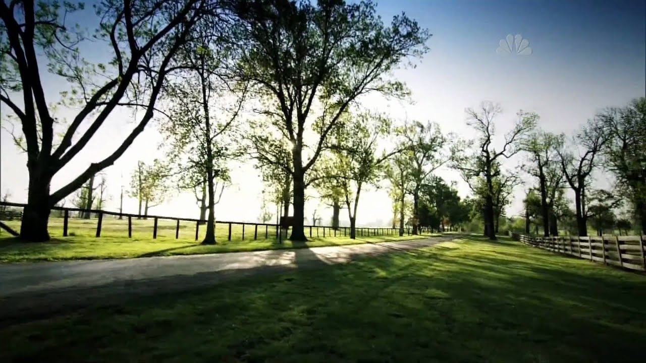 2010 Alltech FEI World Equestrian Games Promo Video - YouTube