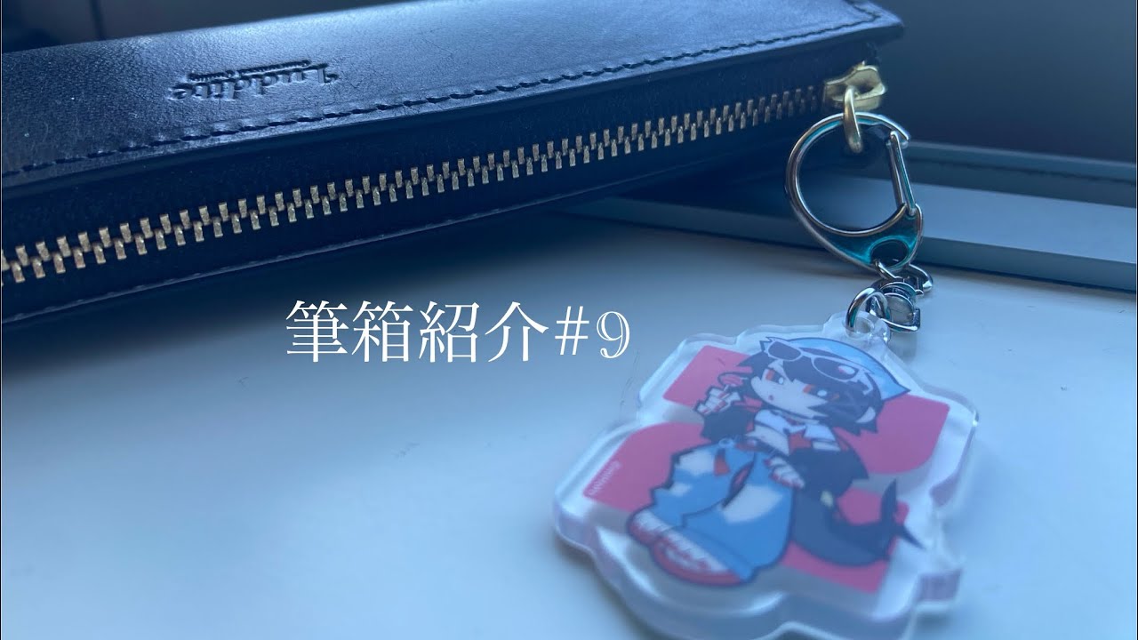 筆箱紹介#9 ホコリのぷわんぷわんと脳死の僕