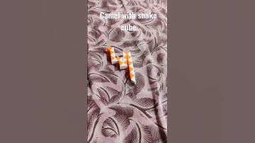 camel with snake cube 😎