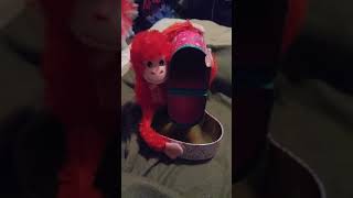 DOLLAR TREE UNDER $10/FLOATING MONKEY CANDY DISPLAY /DIY