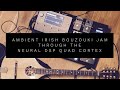 Ambient Irish Bouzouki Jam through the Neural DSP Quad Cortex