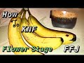 How to knf  korean natural farming and its organic inputs  bloom ffj with banana