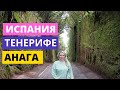 ИСПАНИЯ. ТЕНЕРИФЕ. АНАГА. ТУННЕЛЬ СЧАСТЬЯ. СМОТРОВАЯ ПИКО ДЕЛЬ ИНГЛЕС. МИРАДОР ДЕ ХАРДИНА