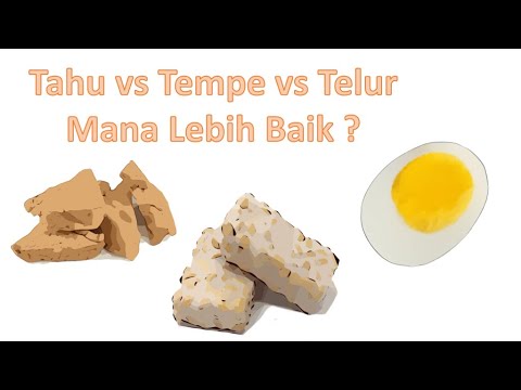 100 Gram Tempe Berapa Protein
