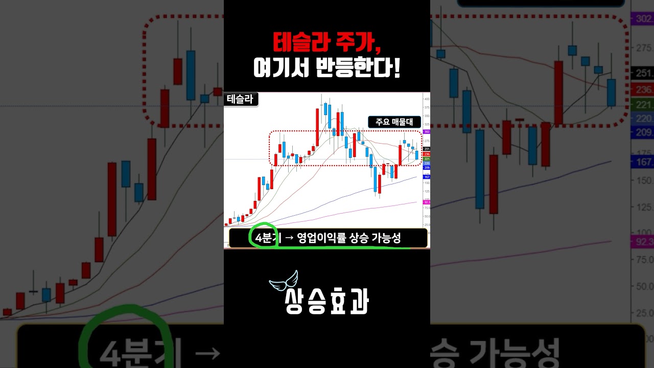 테슬라 주가, 여기서 반등한다 (테슬라 주가전망, 매수전략) - YouTube