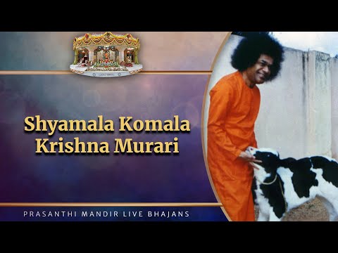 Shyamala Komala Krishna Murari | Prasanthi Mandir Live Bhajans | Sai Kulwant Hall