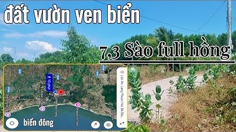 ( Đã Bán ) Nguyên Vườn Trái Cây 7,3 Sào Gần Biển Full Hồng Toàn Bộ Giá Sốc Khu Dân cư Hiện Hữu#bds