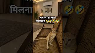 बताओ तो कब मिलना है ??🤣🤣🤣🤣#funny#funnyvideo #reelsfeed #trendingshorts