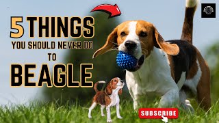 Top 5 Beagle Care Mistakes to Avoid | Expert Tips for a Happy Pup! #beagles