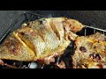 Tilapia Fish Grilling