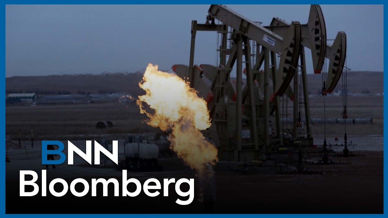 Natural gas price is likely to rise on demand from LNG export and electrification: McCoubrey