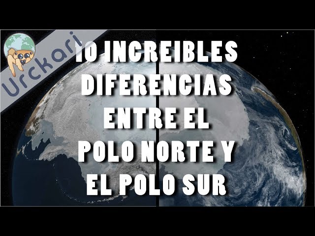 Descubre la Diferencia entre el Polo Norte y el Polo Sur | Información ...