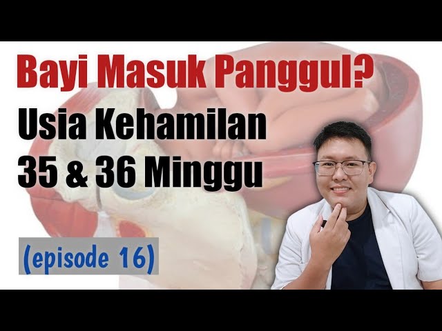 USIA KEHAMILAN 35 DAN 36 MINGGU eps 16 - TANYAKAN DOKTER class=