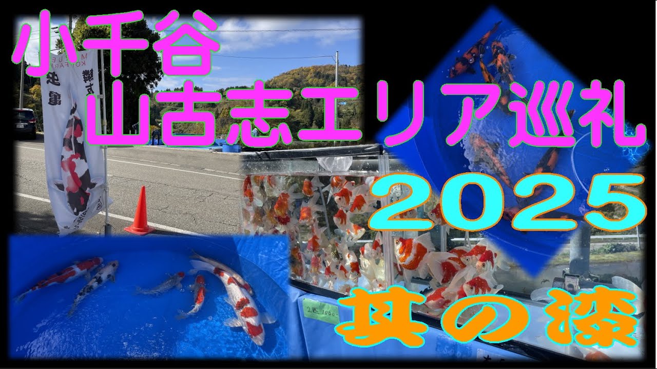 小千谷・山古志エリア巡礼2025　其の漆