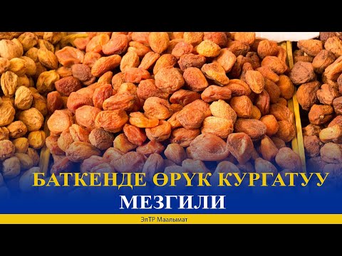 Video: Колбаны кантип кургатуу керек?