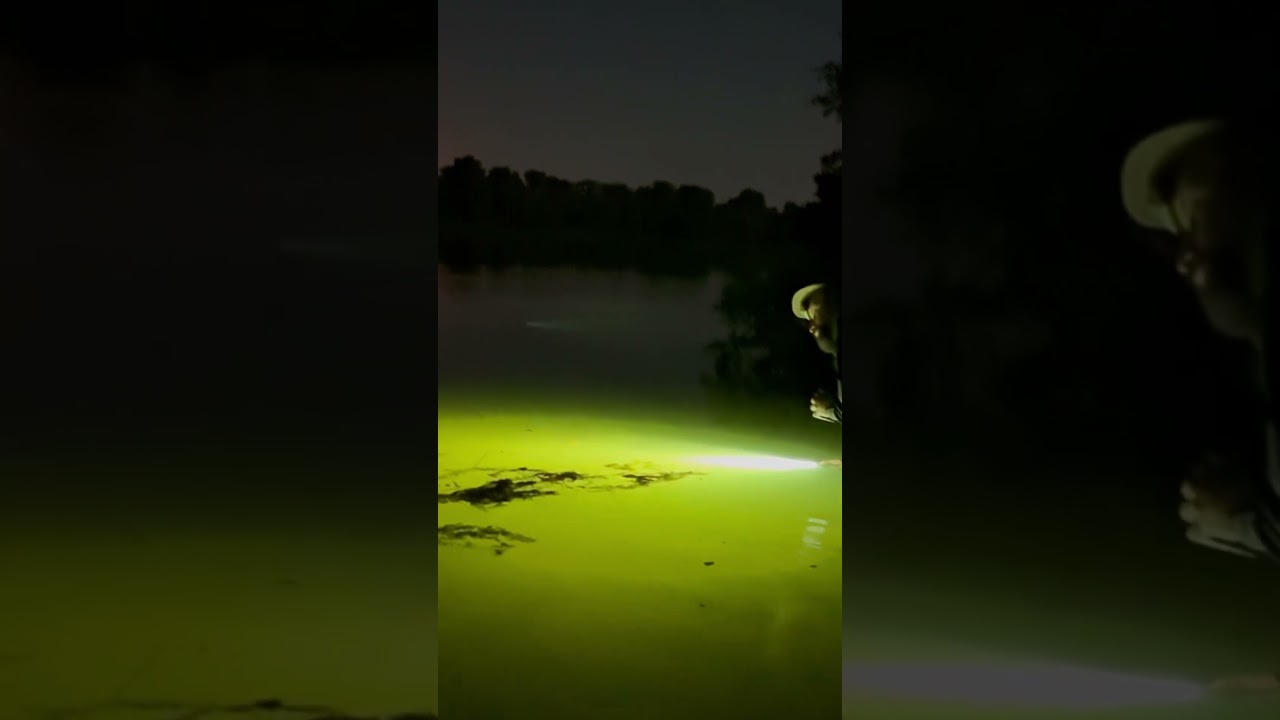 Малек шугался даже от прикормки. 