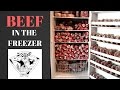 Freezer Full of Fresh Grass Fed Beef