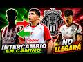 ????SE CAE lo de Denzell a Chivas | Tijuana pide jugador rojiblanco