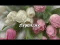 РўР РЅС СѓР РµСЃР Рё Р РЅР РµС СЊ СЌС РѕС С СЂРµРЅРґ 2025 годР🐠‍в рџ µ РўР РЅС СѓР РµСЃР Рё Р РЅР РµС СЊ СЌС РѕС С СЂРµРЅРґ 2025 годР🐠‍в рџ µ