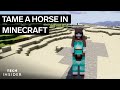 How To Tame A Horse In Minecraft