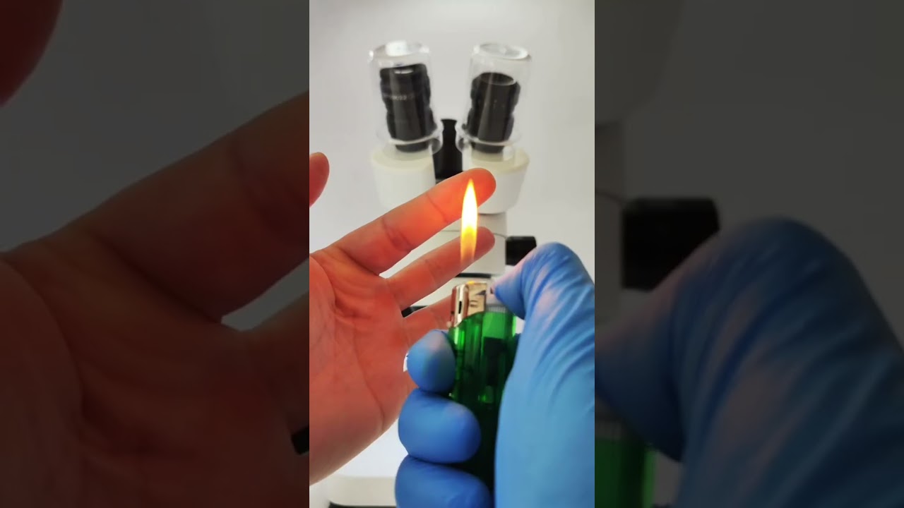 Microscopic View: Exploring Finger Skin and the Science of Sweating