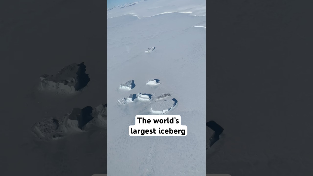 The world’s largest iceberg in Antarctica is free!