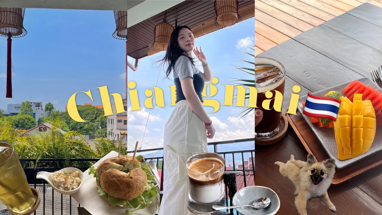 [🇹🇭VLOG]ep.05 혼자 치앙마이 여행ㅣ마지막 숙소로 옮기는날..!(feat.조식jmt)ㅣ감성카페추천ㅣ여행 막바지에 아플줄이야🫠