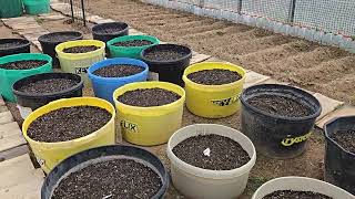 May Greenhouse Garden Tour 2026 