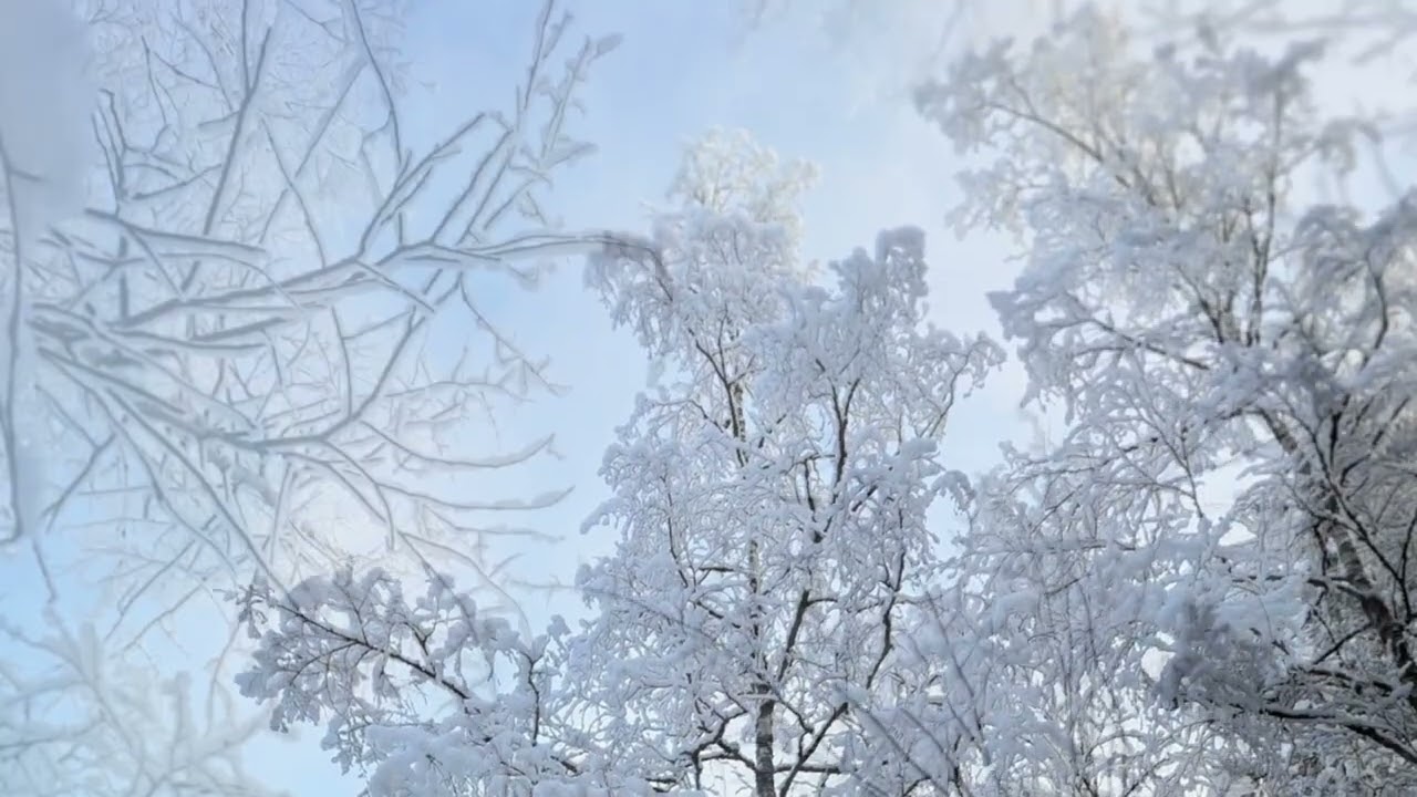 Oikeasti Omanlainen @Koura33 