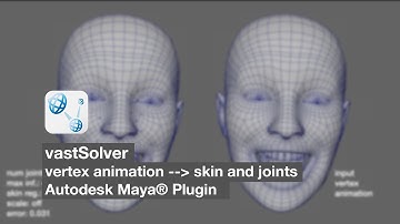 vastSolver (Maya plugin) - vertex animation to skin and joints