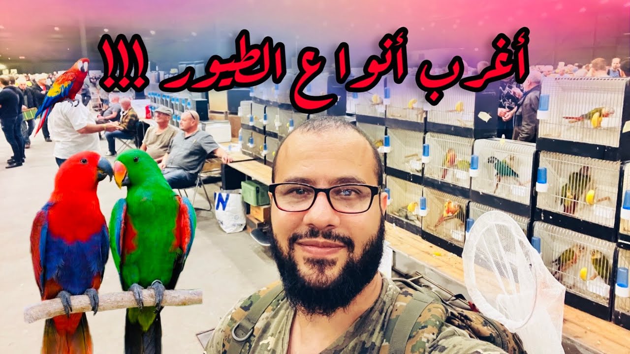 أغرب أنواع الطيور تجدونها في هذا السوق الضخم !!! 🦜لن تصدق انها موجودة!!!