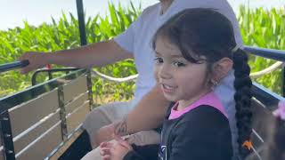 Spina Farms Pumpkin Patch 2024