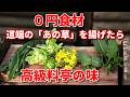 【0円食材】道端の「あの草」を揚げたら高級料亭の味。サクサクすぎて箸が止まらない野草天ぷら… #スイバ #ギシギシ #フキノトウ #ユキノシタ #菜の花