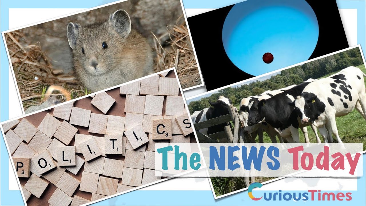 The News Today By Curious Times: 21 Oct, 2020