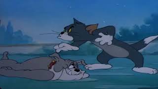 Online Reverse Video Tool Tom & Jerry Clic Cartoon Solid Serenade Mp4