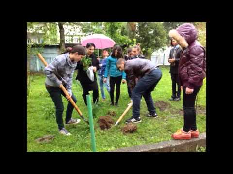 დაზოგე მეტი,მოიხმარე ნაკლები