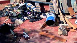 Perros abandonados en terraza de Velez Malaga