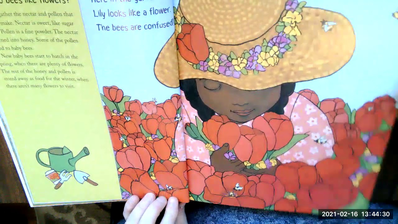 Our Seasons read aloud YouTube