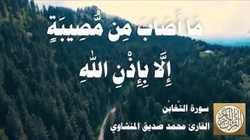 064 محمد صديق المنشاوي - سورة التغابن