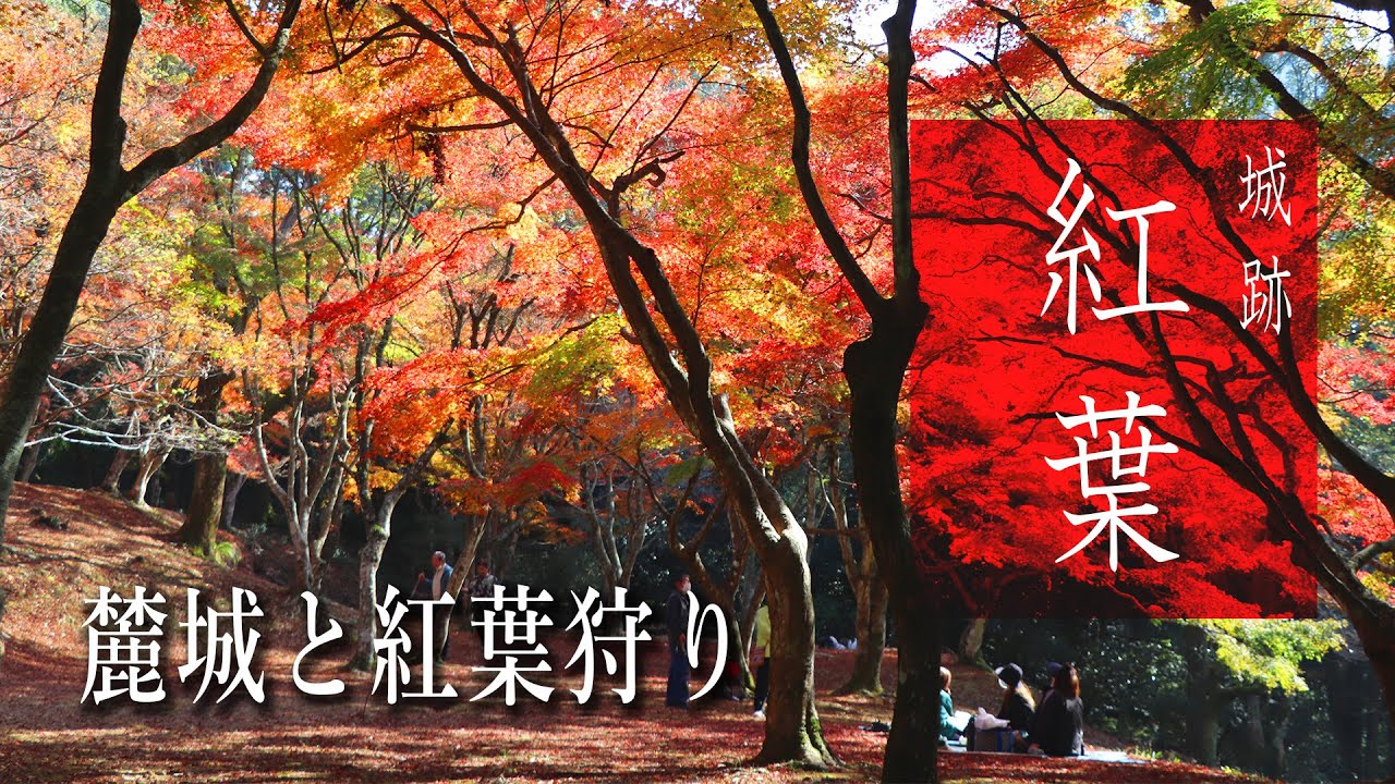 田舎暮らし】紅葉穴場スポット！球磨郡あさぎり町にある麓城で紅葉狩り