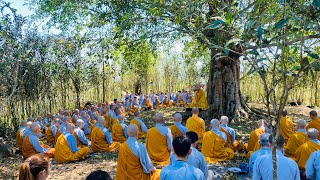 NIKAYA Khất Thực - Thế Tôn Ơi ! Con Đã Về Rồi ( XGGD 9)