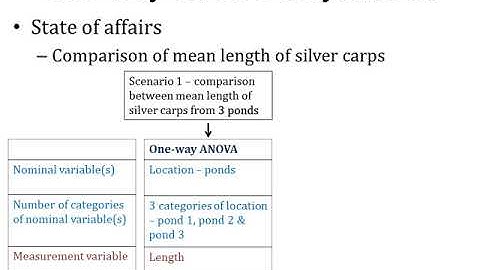 Lecture 10 Part 2 Variables in ANOVA Types of ANOVA One Way ANOVA Two Way ANOVA Factorial ANOVA
