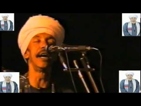 العجوز وبرين مولدابوالغطاس