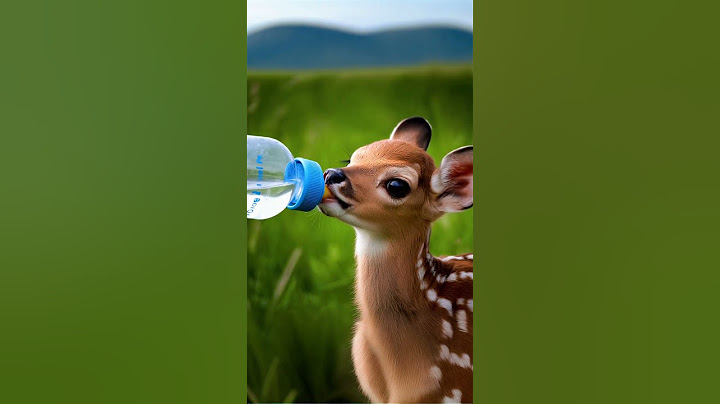 Marten-velous Sips! 🌟 Ripple of Kindness: Baby Marten's First Taste of World's Warmth! 💧🐾💖