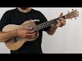 Lanikai asctb solidtop acacia baritone ukulele  the ukebug