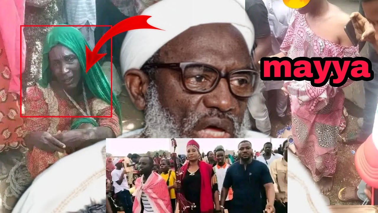 Bullar mayu masu Shan jini a arewa_dr Ahmad gumi ya aika sako ga ...