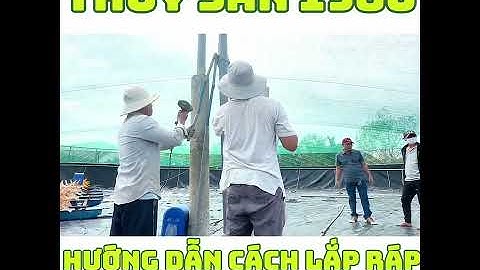 No two comets ever look identical hướng dẫn làm bài