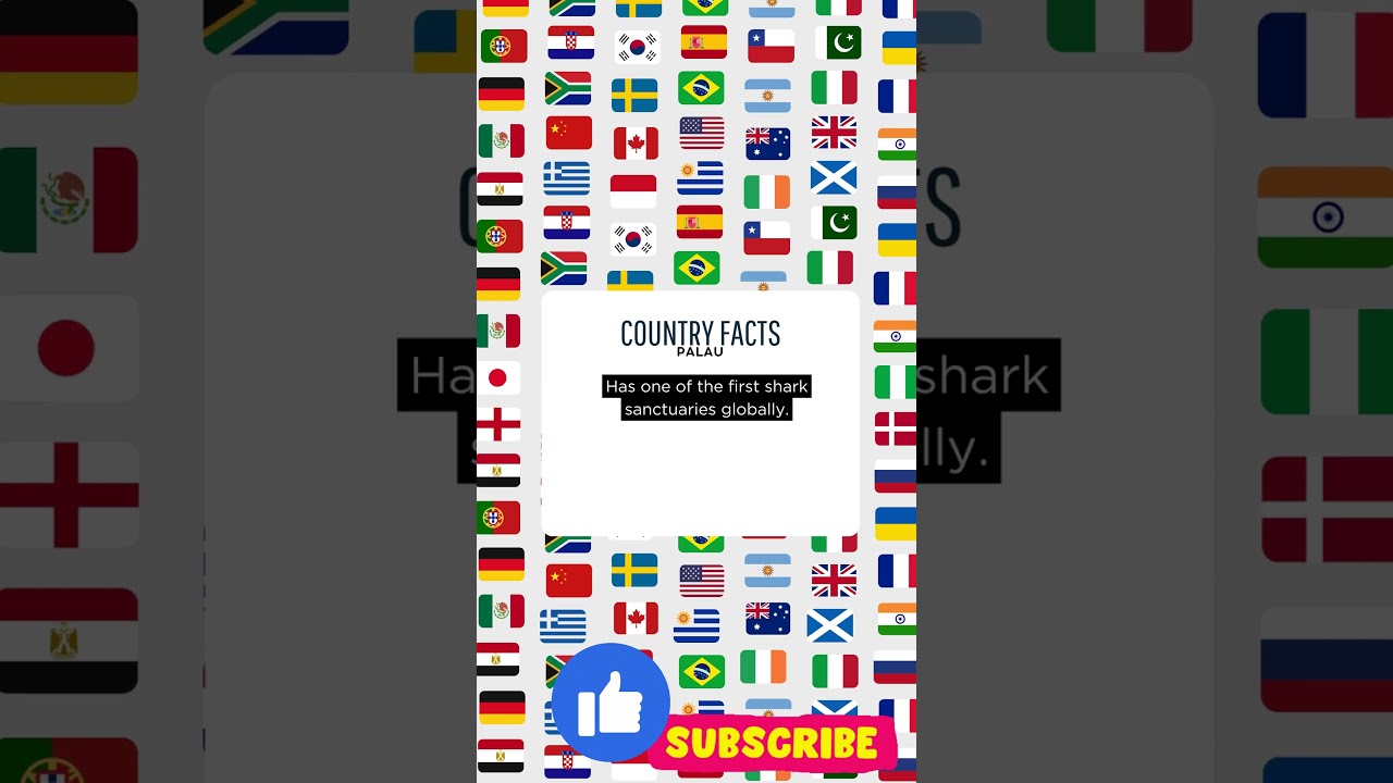 Palau Facts - Shark Sanctuaries